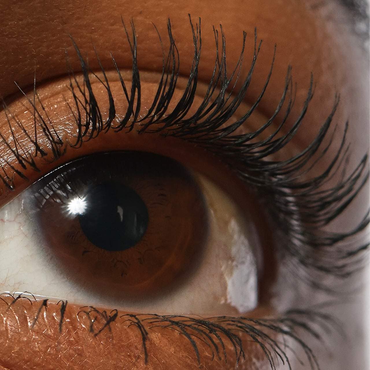 REFY - Lash Sculpt Lengthen and Lift Mascara
